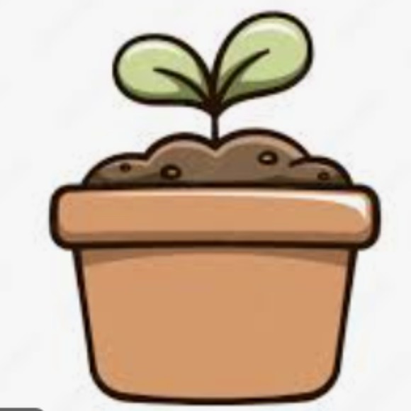 sproutstyle